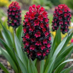 Гиацинт Джем Стоун купить по цене от 2099р. в интернет-магазине «Посадика» с доставкой почтой в в Вольске и по всей России – [изображение №1].