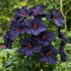 Гибискус Мэджик Момент купить по цене от 699р. в интернет-магазине «Посадика» с доставкой почтой в в Вольске и по всей России – [изображение №1].