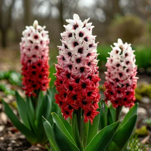 Гиацинт Скай Гарден купить по цене от 2099р. в интернет-магазине «Посадика» с доставкой почтой в в Вольске и по всей России – [изображение №1].